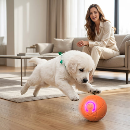 Self-Rolling Dog Ball