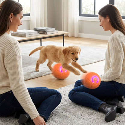Self-Rolling Dog Ball
